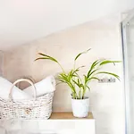 - Istrian Dream With Swimming Pool Appartamento Peroj
