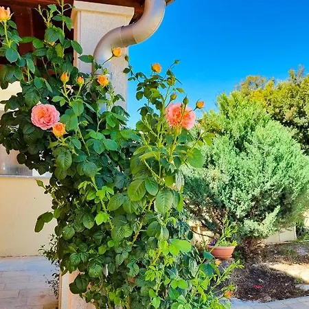 Apartment - Istrian Dream With Swimming Pool