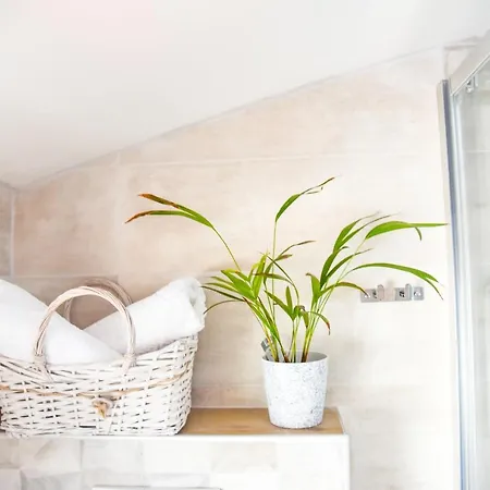 - Istrian Dream With Swimming Pool Apartment Peroj